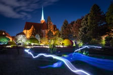 <p>Iluminacje tulipan&oacute;w 2 Ogrodzie Botanicznym 2025</p>