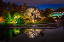 <p>Iluminacje tulipan&oacute;w 2 Ogrodzie Botanicznym 2025</p>