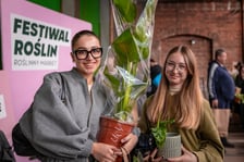 Festiwal Roślin w Czasoprzestrzeni we Wrocławiu