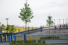Wokół stadionu Tarczyński Arena pojawiły się zielone nasadzenia - w sumie 1800 nowych roślin