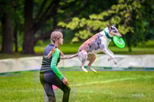 Mistrzostwa Polski Dogfrisbee 2025 - latające psy w parku Południowym
