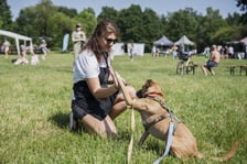 Wielki Piknik Charytatywny Grupy Ratuj w parku Grabiszyńskim