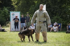 Wielki Piknik Charytatywny Grupy Ratuj w parku Grabiszyńskim
