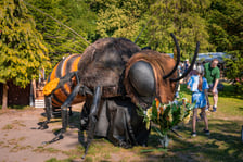 Piknik w parku Pawłowickim w niedzielę 22 czerwca 2025