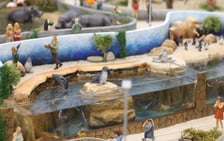 Miniaturowe ZOO w Kolejkowie