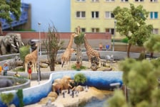 Miniaturowe ZOO w Kolejkowie