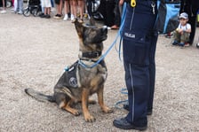 Piknik z Policją na Pergoli - 13.07.2025