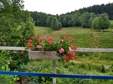 <p>Widok z mostku w Kamienicy, przystrojonego kwiatami.</p>