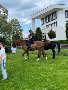 Straż Miejska we Wrocławiu i jej różnorodne zadania