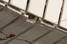 <p>Uszkodzona estakada i poranne utrudnienia na pl. Społecznym - 16 września</p>