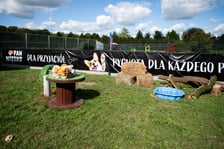 <p>TOZ&nbsp;Schronisko dla Bezdomnych Zwierząt &ndash; otwarcie trzech nowych wybieg&oacute;w</p>