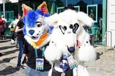 <p>Futrzaki opanowały Wrocław - marsz Furwalk 2025</p>