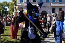 <p>Futrzaki opanowały Wrocław - marsz Furwalk 2025</p>