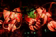 Lumina Park w Zamku Topacz 2025