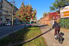 Ulica Trzebnicka