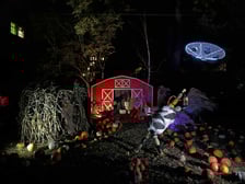 <p>Dyniowe Iluminacje w Ogrodzie Botanicznym UWr&nbsp;</p>