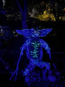 <p>Dyniowe Iluminacje w Ogrodzie Botanicznym UWr&nbsp;</p>
