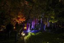 <p>Dyniowe iluminacje w Ogrodzie Botanicznym.</p>