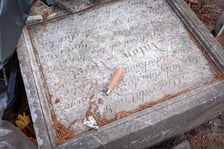 W Ogrodzie Botaniczym odznaleziono na pozostałości dawnego cmentarza