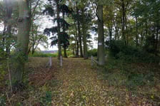 <p>Cmentarz ewangelicki w Grabownicy - w środku pola, w niewielkim zagajniku</p>