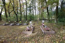 <p>Cmentarz ewangelicki w Grabownicy - w środku pola, w niewielkim zagajniku</p>