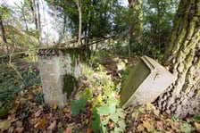 <p>Cmentarz ewangelicki w Grabownicy - w środku pola, w niewielkim zagajniku</p>