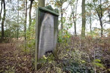 <p>Cmentarz ewangelicki w Grabownicy - w środku pola, w niewielkim zagajniku</p>