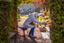 Popołudnie 1 listopada 2025 na cmentarzu Grabiszyńskim