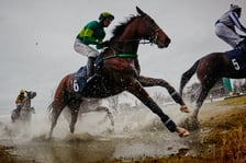 Ostatni dzień wyścigowy na Partynicach