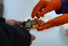 <p>Korea Kimchi Festival 2025. Wrocław, 15.11.2025</p>