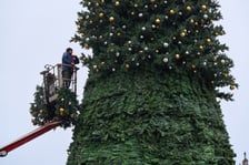 Choinka na Rynku w budowie 18 listopada 2025 roku