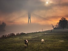 <p>Konie pasące się na łące, w tle most Rędziński we mgle i promieniach wschodzącego słońca. Zdjęcie zatytułowanie "nowy początek".</p>