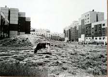 Osiedle Nowy Dwór we Wrocławiu - zdjęcia archiwalne, które będą prezentowane na wystawie "Projekt Nowy Dwór" w CK Nowy Pafawag