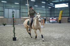Na Partynicach rozgrywano Mistrzostwa Polski w Working Equitation.