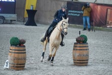 Na Partynicach rozgrywano Mistrzostwa Polski w Working Equitation.