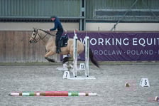 Na Partynicach rozgrywano Mistrzostwa Polski w Working Equitation.
