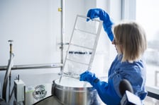 Przylądek Nadziei we Wrocławiu, 24 listopada 2025 roku