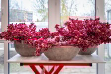 Branżowe Centrum Umiejętności w dziedzinie florystyki