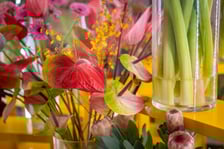 Branżowe Centrum Umiejętności w dziedzinie florystyki