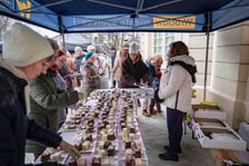 Pierwszy dzień Jarmarku w Leśnicy