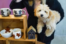 <p>Targi LOOP flea market we wrocławskich Bulvarach</p>