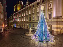 <p>Choinka rozświetla Plac Uniwersytecki</p>