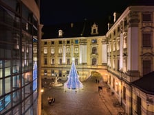 <p>Choinka rozświetla Plac Uniwersytecki</p>