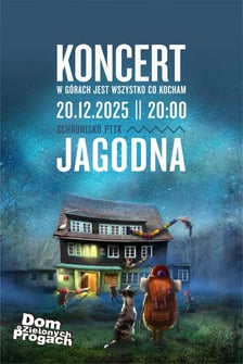 Jarmarki, koncerty kolęd i spotkania wigilijne na Dolnym Śląsku 2025. Program wydarzenia