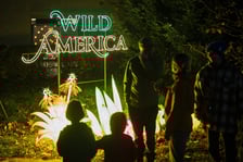 Garden of Lights "Dzika Ameryka" we Wrocławiu