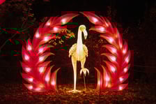 Garden of Lights "Dzika Ameryka" we Wrocławiu