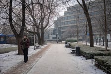 Mroźny dzień we Wrocławiu - 09.01.2026 r.