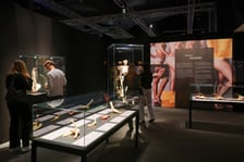 <p>Relacja z wystawy Body Worlds w IASE</p>