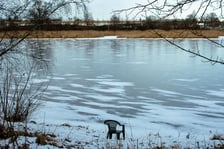 Na Odrze we Wrocławiu pojawił się lód. To zjawisko niespotkane od wielu lat