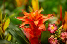 Targi na Tarczyński Arenie w 2024 roku